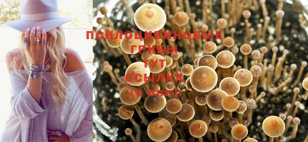 Альфа ПВП Арсеньев
