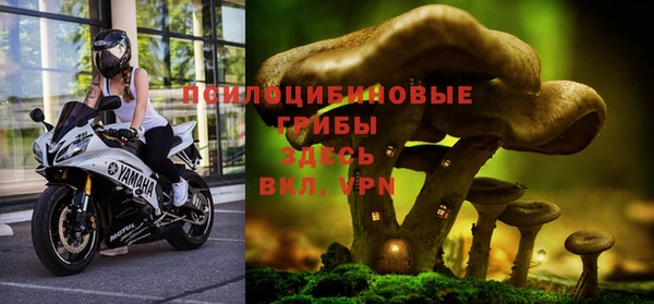 амфетамин Аркадак