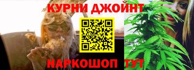 шишки Пушкино
