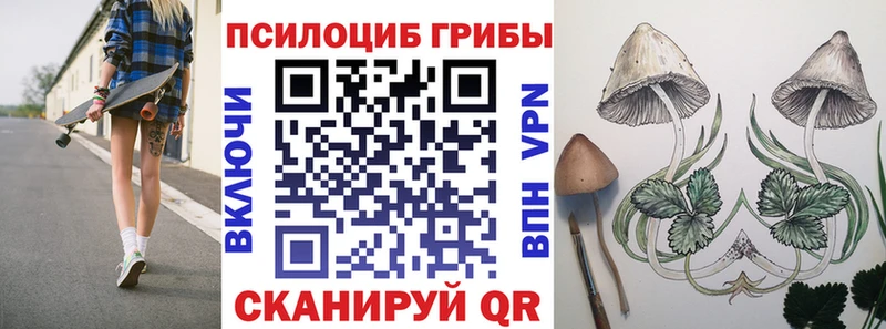 Псилоцибиновые грибы Cubensis  omg ССЫЛКА  Черняховск 