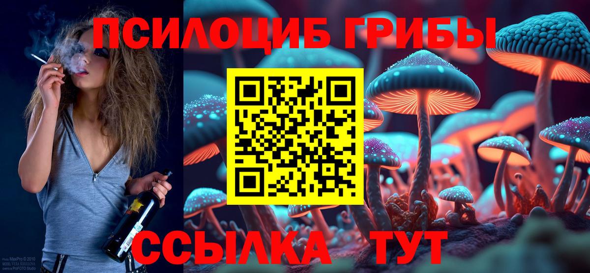где найти наркотики  Галлюциногенные грибы ЛСД  Вход с VPN  Черняховск 